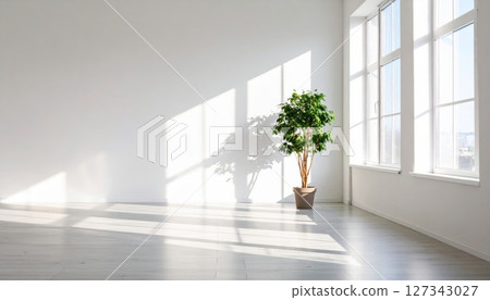 Sunlight streams into a minimalist room with green plants. 127343027
