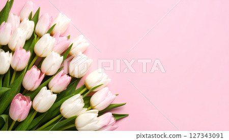 A lovely spring bouquet of pink tulips on white, perfect for a romantic gift or floral decoration 127343091