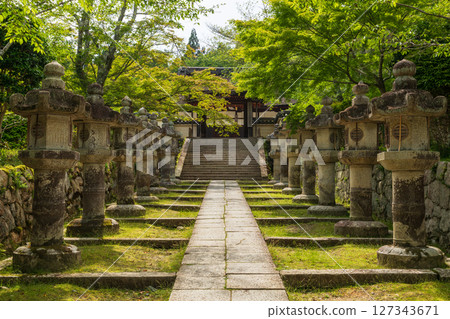 The fresh green approach to Miidera Temple The fresh green approach to Miidera Temple 127343671