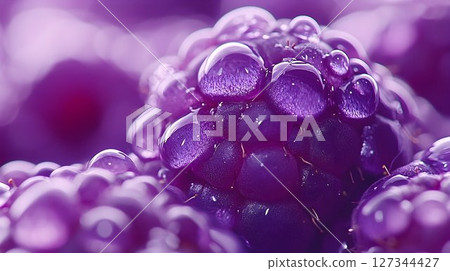 Macro View of Dew-Kissed Purple Berries with Water Droplets 127344427