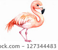 Cute watercolor animal series: flamingo 127344483