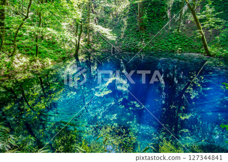 [Fukaura Town, Aomori Prefecture-Aoike] A popular spot on the Lake Joji Forest Therapy Road Aoike is the largest attraction 127344841