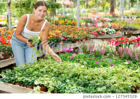 Woman choosing flowers hedera at flower market sale 127345529