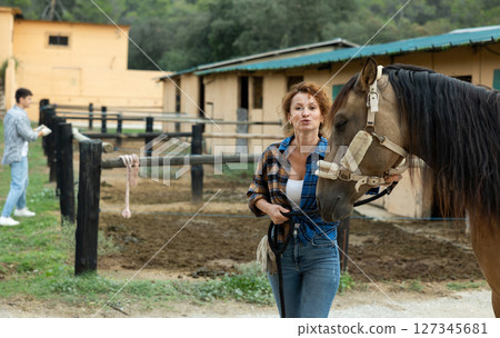 Woman owner of horse leads animal by bridle on street, walks it in street paddock Woman owner of horse leads animal by bridle on street, walks it in street paddock 127345681