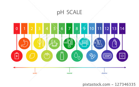 PH Scale balance. Indicator for concentration of hydrogen ion in solution. Ph food analysis or chemical test. Flat Vector illustration 127346335