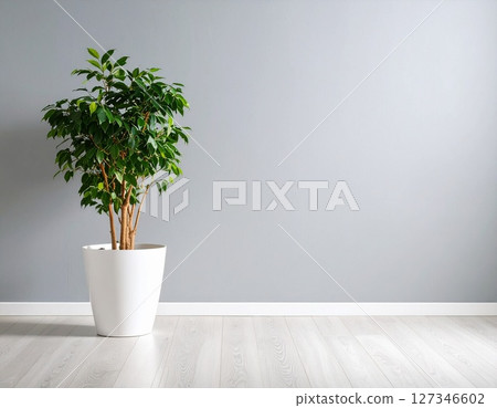 白色盆栽與灰色牆面背景1 127346602