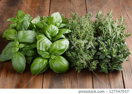 Fresh culinary herbs basil thyme rosemary Fresh culinary herbs basil thyme rosemary 127347037