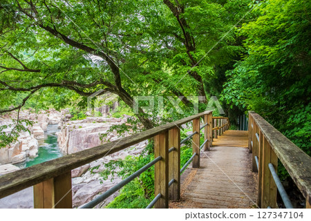 The bridge over the "Nezame-no-Toko" promenade 127347104