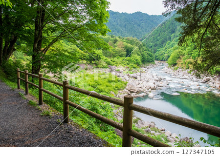 從根澤之洞長廊欣賞壯麗景色 從根澤之洞長廊欣賞壯麗景色 127347105
