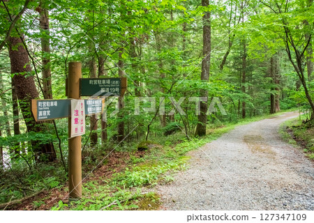 通往「根佐目之塔」的散步道 通往「根佐目之塔」的散步道 127347109