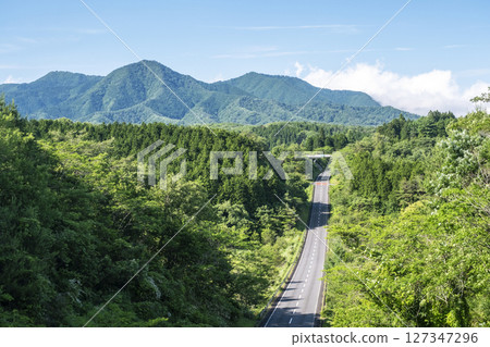清新綠意與初夏駕車景象(蒜山高原) 清新綠意與初夏駕車景象(蒜山高原) 127347296