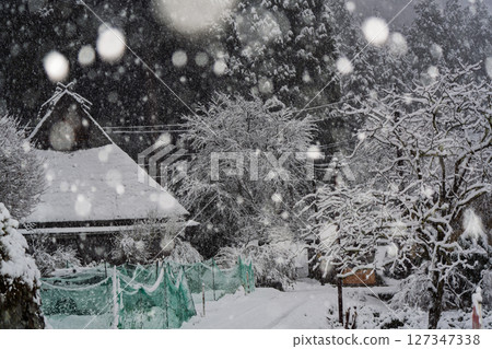 這張照片是在京都南丹市美山町被雪覆蓋的茅草屋頂村拍攝的。 這張照片是在京都南丹市美山町被雪覆蓋的茅草屋頂村拍攝的。 127347338