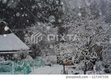 這張照片是在京都南丹市美山町被雪覆蓋的茅草屋頂村拍攝的。 127347339