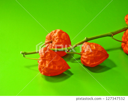 Red physalis fruit served as a Buddhist flower in the tray 127347532