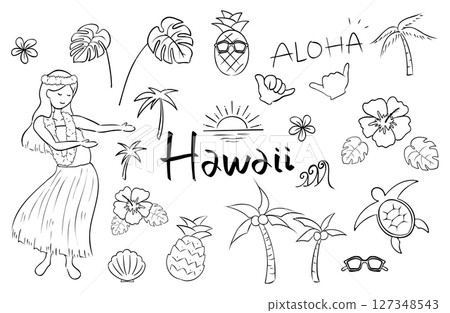 Hawaii illustration set (line drawing) 127348543