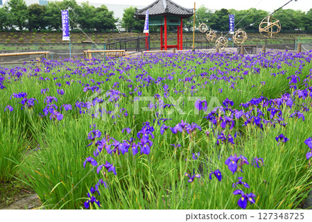 Agui Town: The Phantom Flower, Hana Katsumi 127348725