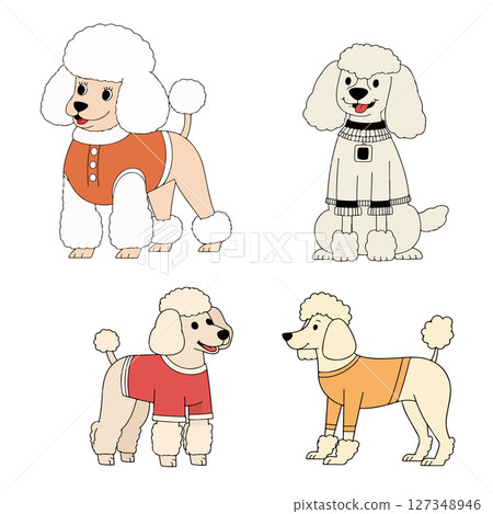 Cartoon Poodles in Sweaters Cartoon Poodles in Sweaters 127348946
