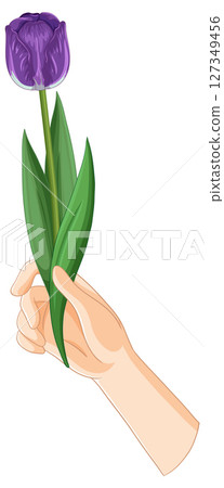 Hand Holding a Purple Tulip Illustration 127349456