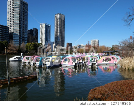 不忍池上漂浮的天鵝船 127349566