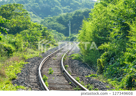 Single track (image of a local line) Single track (image of a local line) 127349608