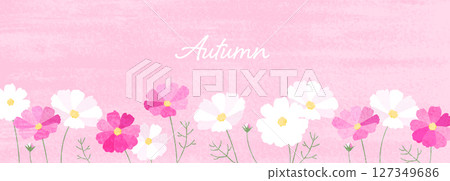 水彩波斯菊插畫素材_2 127349686