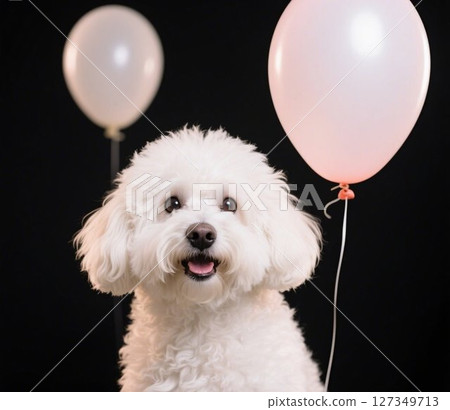 白狗和粉紅色氣球 一隻看起來想說些什麼的狗 127349713
