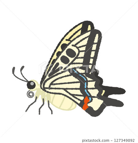 燕尾蝶 127349892