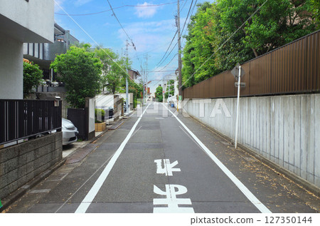 安靜的住宅區、住宅區、連棟房屋、小巷、道路、住宅 安靜的住宅區、住宅區、連棟房屋、小巷、道路、住宅 127350144