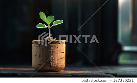 A young green sprout emerging from rich, dark soil in a minimalist cork pot, set against a softly blurred dark background. 127350221