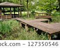 Isokawa Green Park when hydrangeas are in bloom 127350546