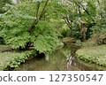 Isokawa Green Park when hydrangeas are in bloom 127350547