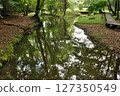 Isokawa Green Park when hydrangeas are in bloom 127350549