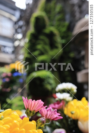 大阪難波水花不動③ 127350585