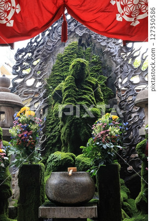 大阪難波水花不動4 大阪難波水花不動4 127350586