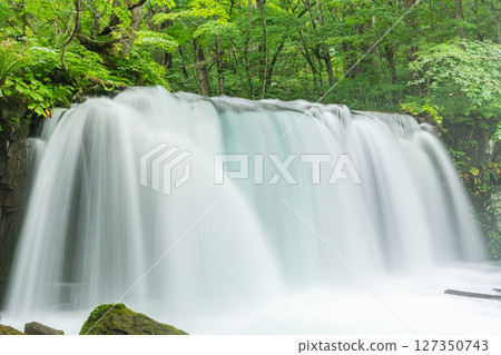 青森縣十和田市夏季奧入瀨溪流、銫子瀑布 127350743