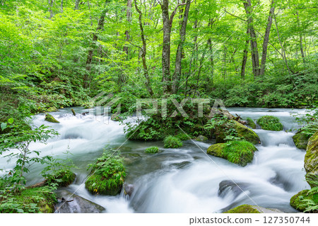 青森縣十和田市,夏季的奧入瀨溪流(溪流圖) 青森縣十和田市,夏季的奧入瀨溪流(溪流圖) 127350744