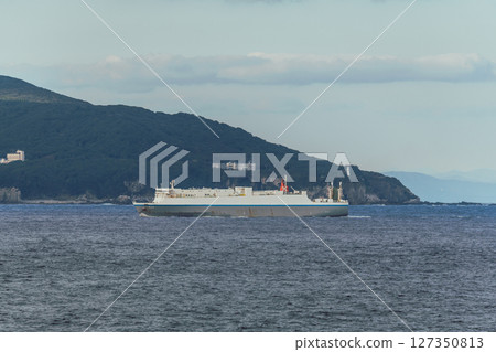 [Tokyo Kyushu Ferry is bound for Mayu Shinmoji, sailing off the coast of Tosashimizu, a RORO ship] 127350813