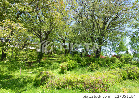 Children's Song Forest Interactive Park 2025-5-3 #4 127351194