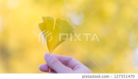 撿起彩色的樹葉 127351470