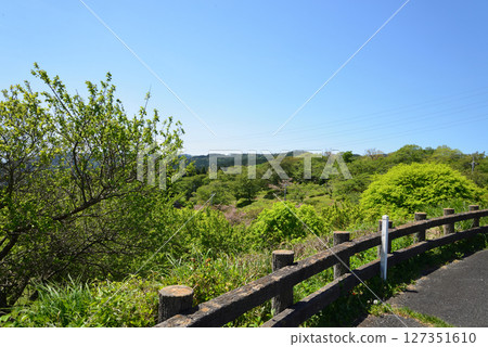 Children's Song Forest Interactive Park 2025-5-3 #14 Children's Song Forest Interactive Park 2025-5-3 #14 127351610