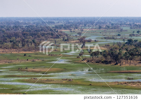 Aerial view of the Okavango Delta Aerial view of the Okavango Delta 127351616