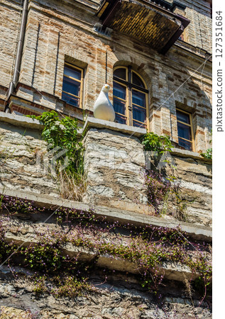 White seagull resting on balcony of vintage brick building with arched windows. High quality photo White seagull resting on balcony of vintage brick building with arched windows. High quality photo 127351684