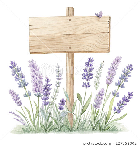 Wooden sign The most beautiful flower in the world is under the sign watercolor Wooden sign The most beautiful flower in the world is under the sign watercolor 127352002