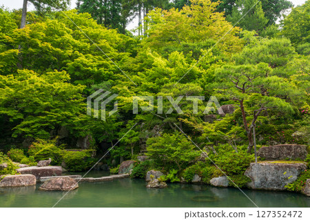 百濟寺庭院裡綠意盎然 127352472