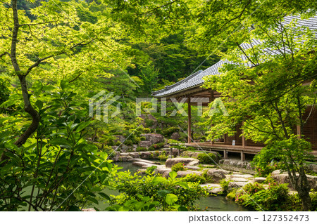 Fresh greenery at Kudara-ji Temple's main temple, Kimi-in Fresh greenery at Kudara-ji Temple's main temple, Kimi-in 127352473