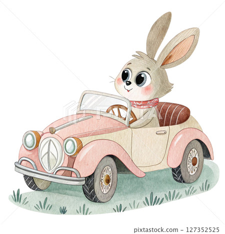 The cutest animals in the world  riding in an old car clipart watercolor  127352525