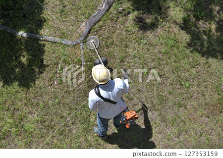 A gardener trimming grass with an engine-powered grass cutter 127353159