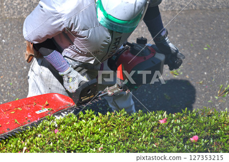 Gardener trimming garden trees with an engine-powered pruner 127353215