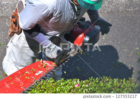 園丁用引擎驅動的修枝剪修剪花園樹木 127353217