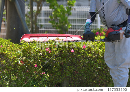 Gardener trimming garden trees with an engine-powered pruner Gardener trimming garden trees with an engine-powered pruner 127353390